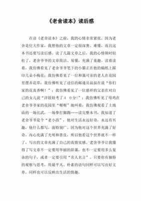 老舍小说善人读后感（老舍小说善人读后感800字）