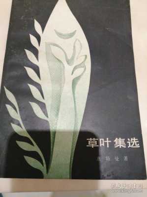 草叶集读后感600（草叶集读后感100字）