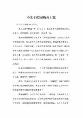 小王子读后感观点（小王子读后感观点20字）