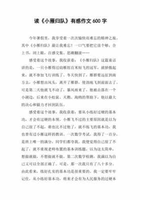 雁翎队图书读后感（雁翎队纪念馆观后感作文）