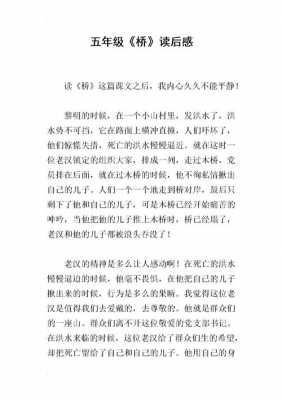 五年级课文桥读后感的简单介绍