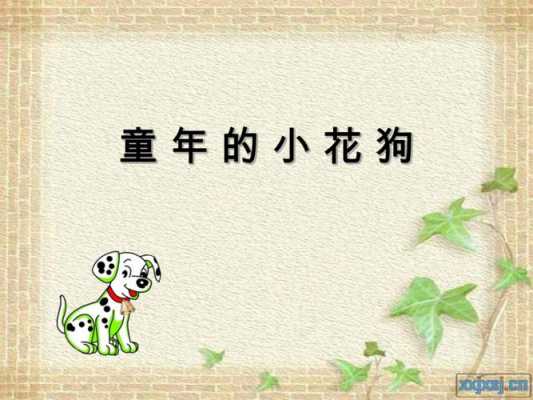 童年的小花狗读后感（童年的小花狗读后感300字）