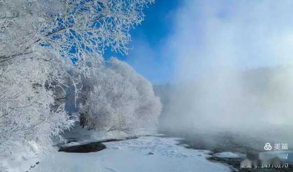 冰雪里的灵魂读后感（冰雪里的灵魂阅读答案）