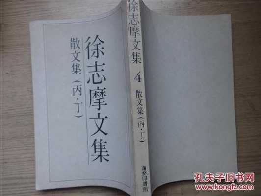 徐志摩相关书籍读后感（徐志摩文集读后感500字）