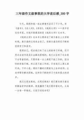 我的大学300字读后感（我的大学300字读后感作文）