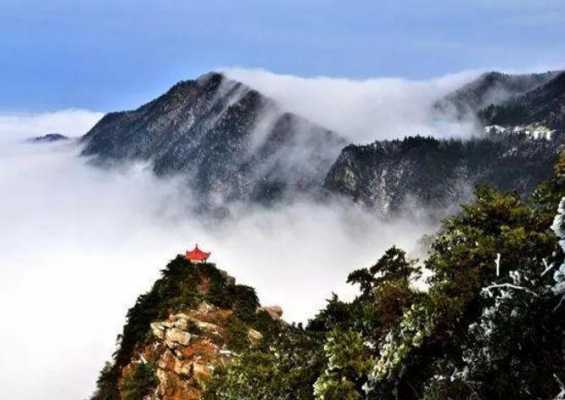 庐山面目丰子恺读后感（庐山面目节选丰子恺读后感）