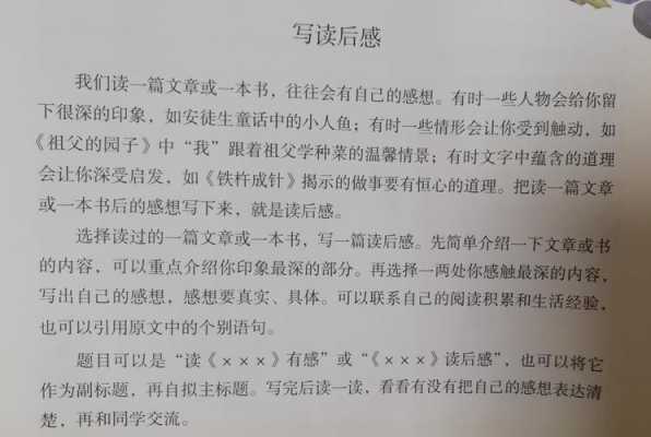 考试我不怕读后感（考试我不怕读后感的名人名言20字）