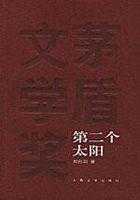 第二个太阳读后感（第二个太阳读后感500字）