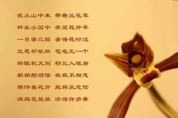 《兰花》读后感20字（阅读兰花草读后感怎么写）