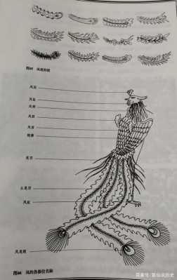 凤凰是的魔咒读后感（关于凤凰的魔法咒语）