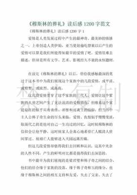 包含穆斯林的葬礼的读后感的词条