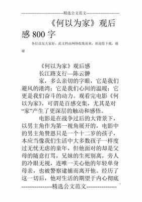 何以为家读后感作文（看完何以为家的感受300字）