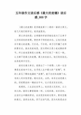 麦穗读后感300字作文（麦穗读后感400字）