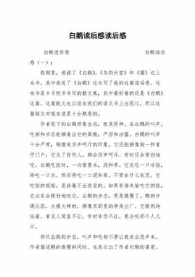 白鹅读后感（白鹅读后感30字）