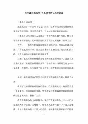 毛主动席读后感作文的简单介绍