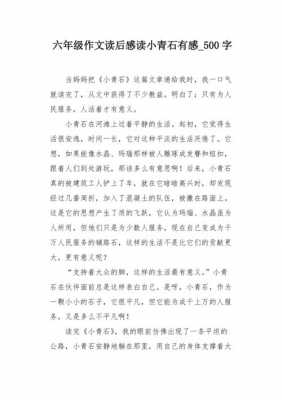 小青石读后感（小青石读后感联系生活实际）