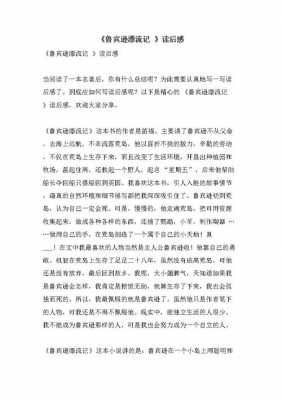 鲁兵孙漂流记书读后感600字（鲁兵孙漂流记得读后感400）