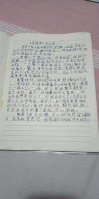 国王与猎鹰读后感（国王与猎鹰读后感300字）