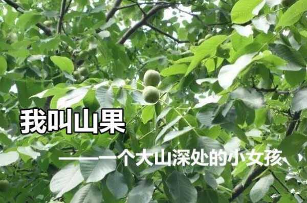 山果读后感题目（读山果有感700字）