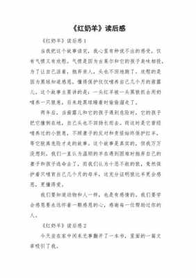 红奶羊读后感无（红奶羊读后感500字）