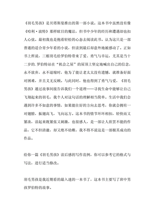 羽毛读后感（羽毛读后感100字）