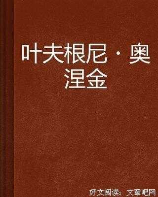 叶甫盖尼奥涅金读后感（叶甫盖尼奥涅金读后感500字）