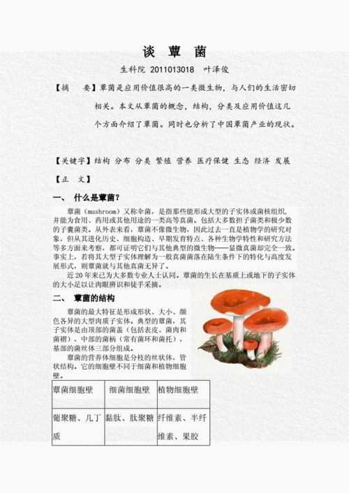 《中国蕈菌》读后感（中国蕈菌读后感300字）