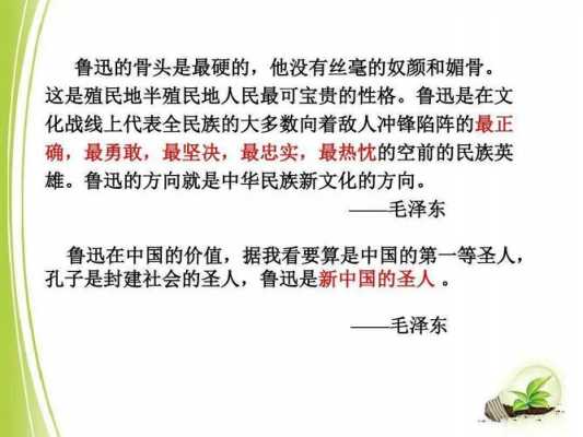 鲁迅小说读后感高中作文（鲁迅小说读后感800字）