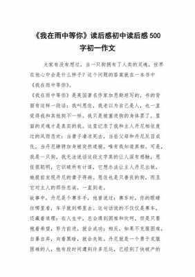 我在雨中等你读后感（我在雨中等你读后感作文）