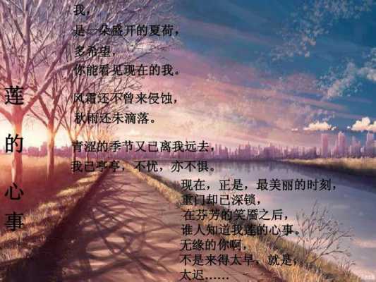 白帆席慕容读后感（席慕容白帆中你指什么）