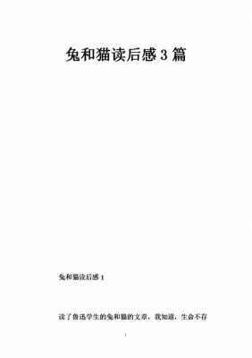 兔与猫读后感（兔与猫读后感400字）