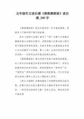 桑麻的舞蹈读后感5（桑麻的舞蹈读后感300字）