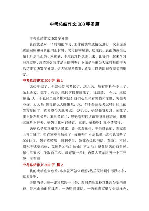 中考总结大会读后感（中考总结会作文）