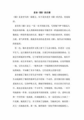 老舍猫的读后感作文（老舍猫读后感600字作文）