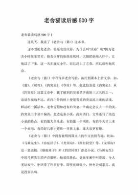 老舍猫的读后感作文（老舍猫读后感600字作文）