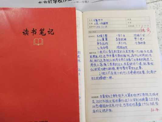 《东方红》读后感（东方红观后感250字左右）