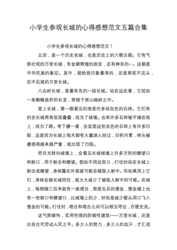 参观长城的爱国读后感（参观长城的爱国读后感300字）