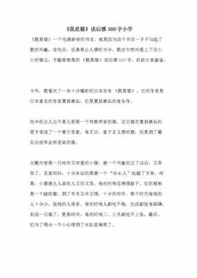 小学读后感强盗世界（强盗世界告诉我们什么道理）