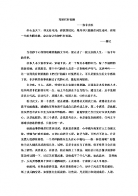 辛弃疾读后感二百字（辛弃疾1162读后感500字）