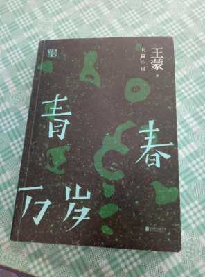 激昂读后感王蒙（青春万岁王蒙读后感）