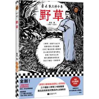 鲁迅野草读后感600（鲁迅野草读后感2000字）