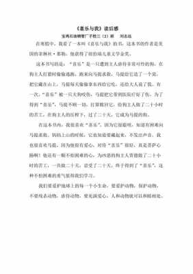 喜乐与我读后感150字（喜乐与我读后感400字）