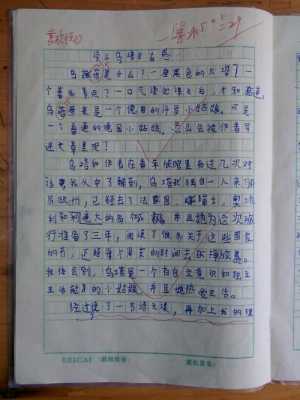 鸟与人读后感作文（鸟与人读后感作文400字）