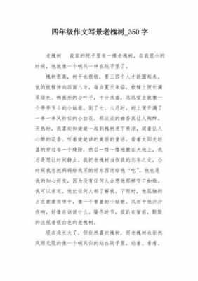 故乡的槐树读后感（故乡的槐树作文300字）