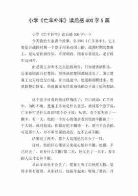 亡羊补牢读后感生意（亡羊补牢的读后感300字作文）