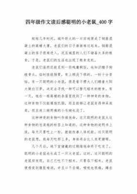 小老鼠包比读后感（小老鼠包比比里的好词）