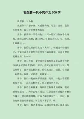 我想有只宠物读后感（我想有一只小狗作文400字）