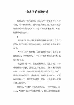 关于秃鹤的读后感（秃鹤读后感300字左右）