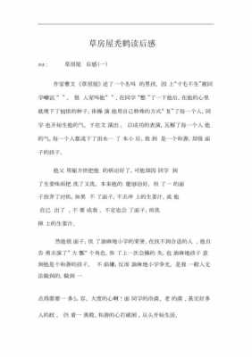 关于秃鹤的读后感（秃鹤读后感300字左右）