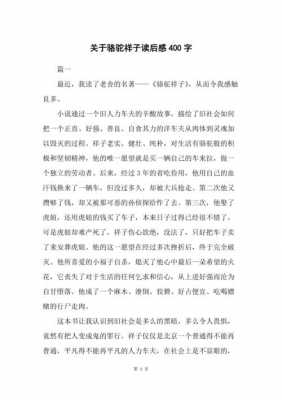 保尔小传读后感600（保尔小传读后感600字）